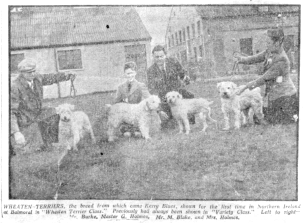 a picture of Mr. Burke,  young Greham Holmes, Mr. Mat Blake, Mrs. Maureen Holmes
