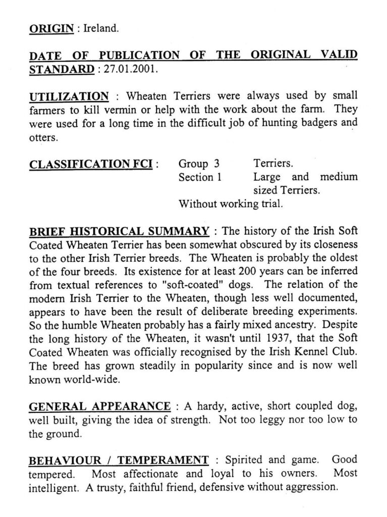 Photograph of the description of irish wheaten terrier